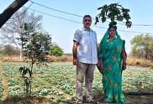 मनरेगा से बदली किसान हेमंत साहू की किस्मत