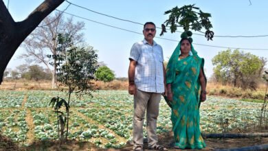 मनरेगा से बदली किसान हेमंत साहू की किस्मत